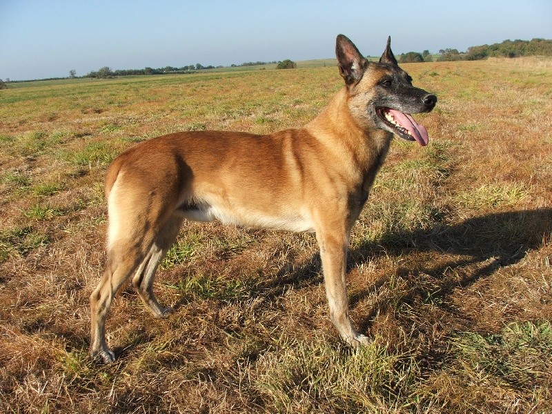 Olaf dit ondo des terres de mercy