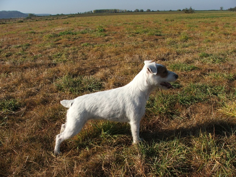 Varene dite vodka Des bayannins